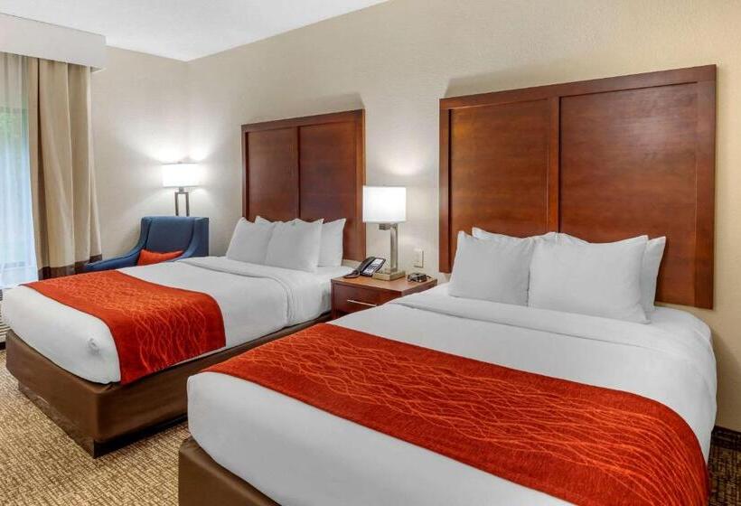 スタンダードルーム, Comfort & Inn Suites