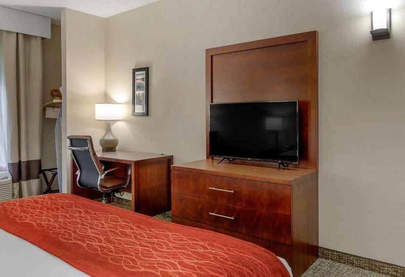 스탠다드 룸 킹사이즈 침대, Comfort & Inn Suites