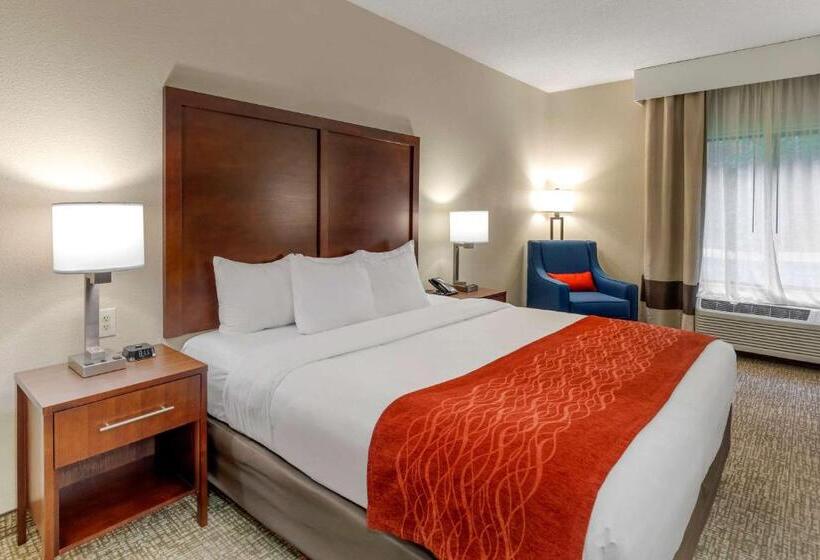 キングサイズベッドのスタンダードルーム, Comfort & Inn Suites