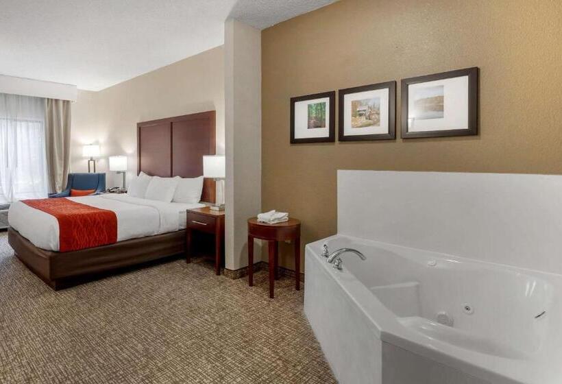 스탠다드 룸 1층, Comfort & Inn Suites