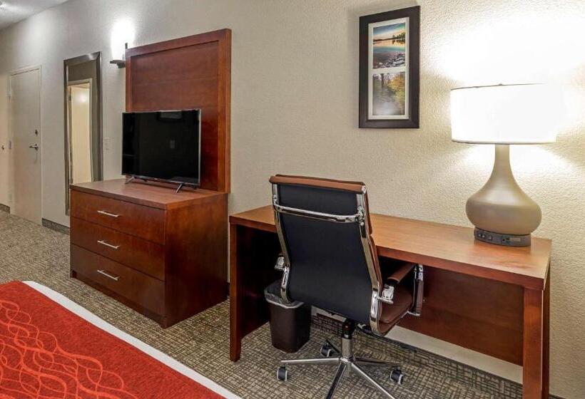 身障者適用スタンダードルーム, Comfort & Inn Suites