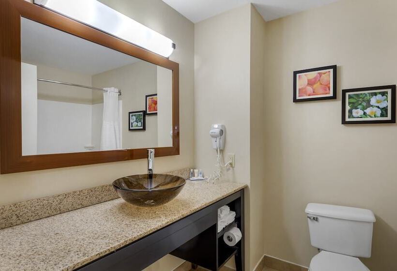 スイート, Comfort & Inn Suites