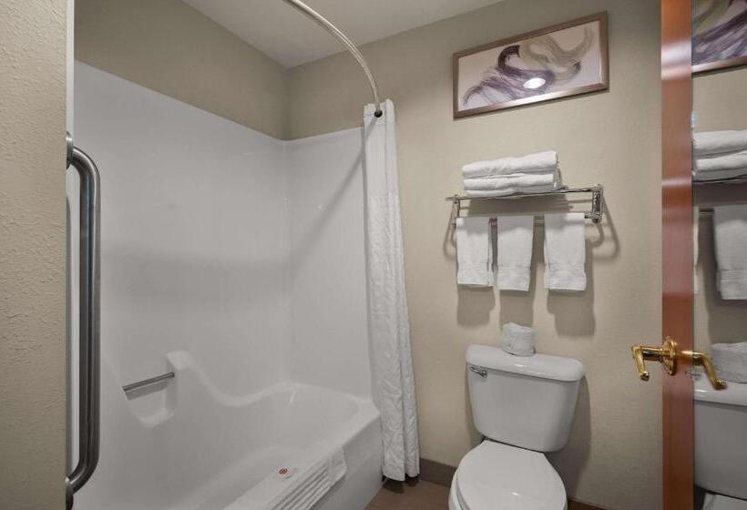 스탠다드 룸, Comfort Inn & Suites