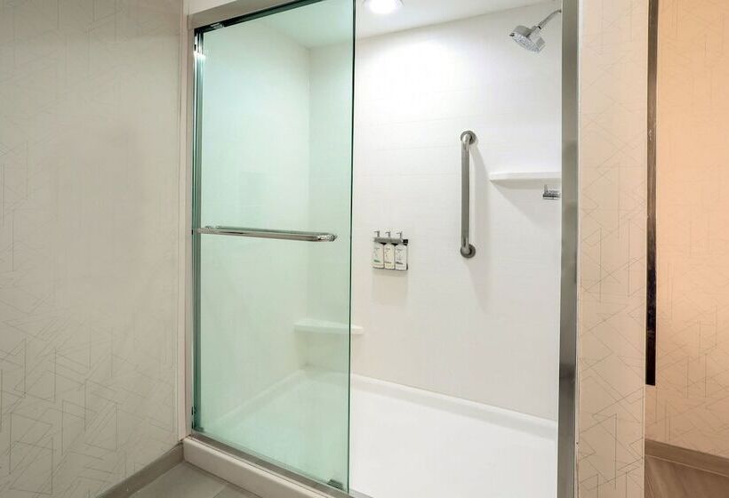 اتاق استاندارد, Holiday Inn Express Hotel & Suites Dover, An Ihg