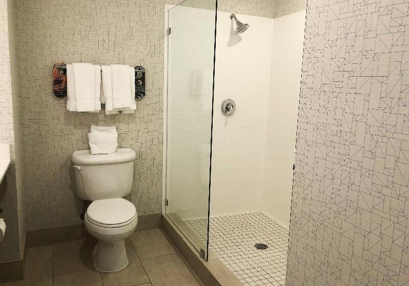 Люкс Кровать Кинг, Holiday Inn Express Hotel & Suites El Dorado Hills, An Ihg