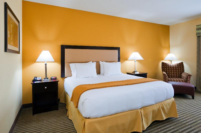 이그제큐티브 룸 킹사이즈 침대, Holiday Inn Express Hotel & Suites Greenville, An Ihg