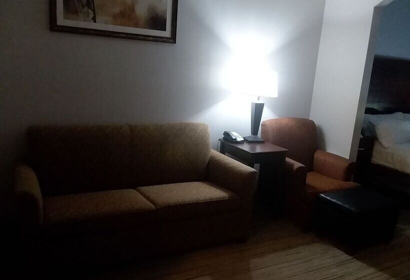 Люкс Адаптированный для Инвалидов, Holiday Inn Express Hotel & Suites Lake Placid, An Ihg