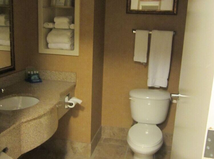 스위트, Holiday Inn Express Hotel & Suites Lake Placid, An Ihg