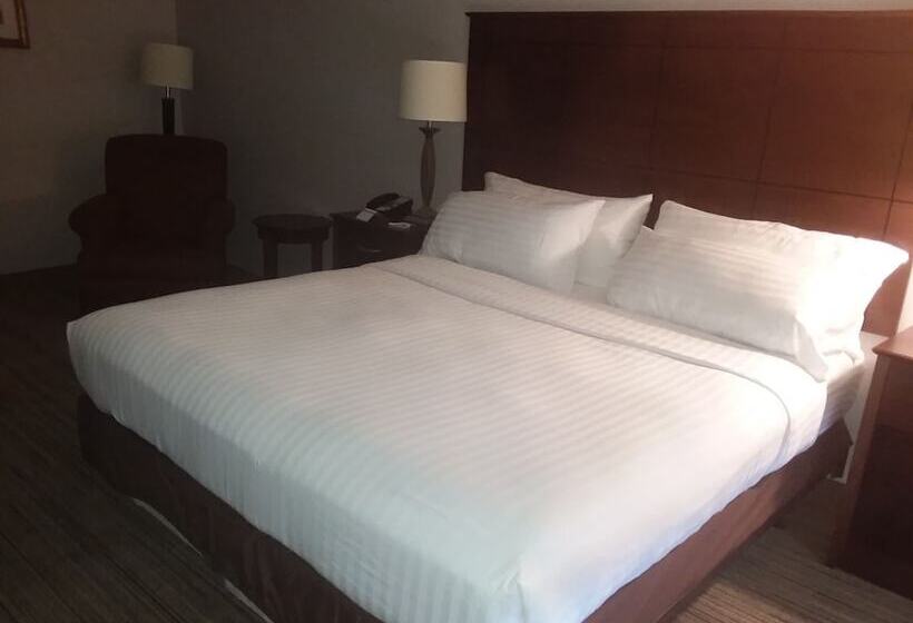 스위트, Holiday Inn Express Hotel & Suites Lake Placid, An Ihg