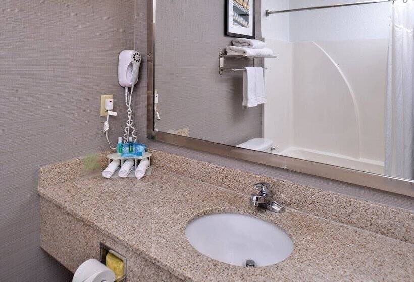 Номер Стандарт 2 Двуспальные Кровати, Holiday Inn Express Hotel & Suites Lonoke I 40, An Ihg