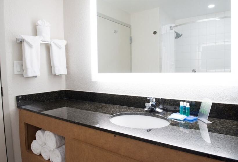 Номер Стандарт, Holiday Inn Express Pascagoula Moss Point, An Ihg