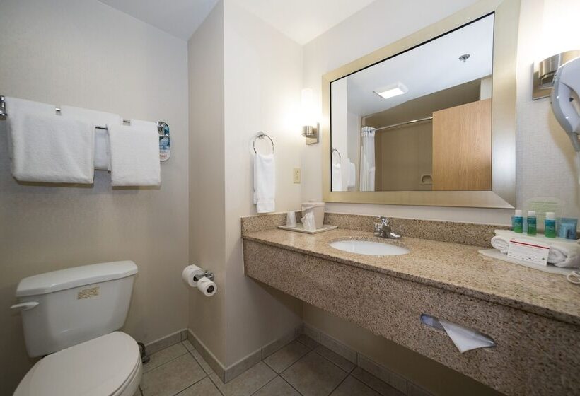 سوییت, Holiday Inn Express & Suites Vicksburg By Ihg