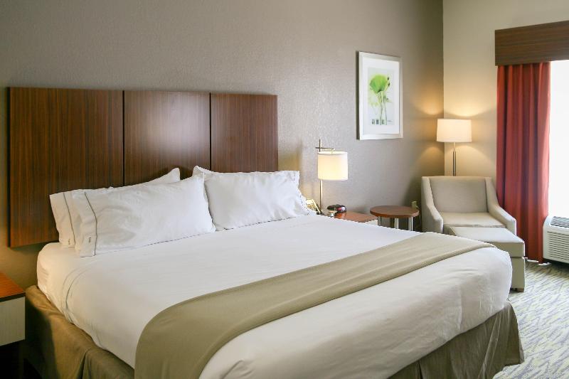 اتاق استاندارد با تخت بزرگ, Holiday Inn Express & Suites Vicksburg By Ihg