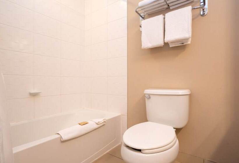 带特大床的标准间, Sandman Hotel And Suites Squamish