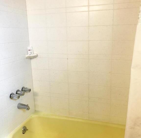 주니어 스위트, Skyview Manor Motel