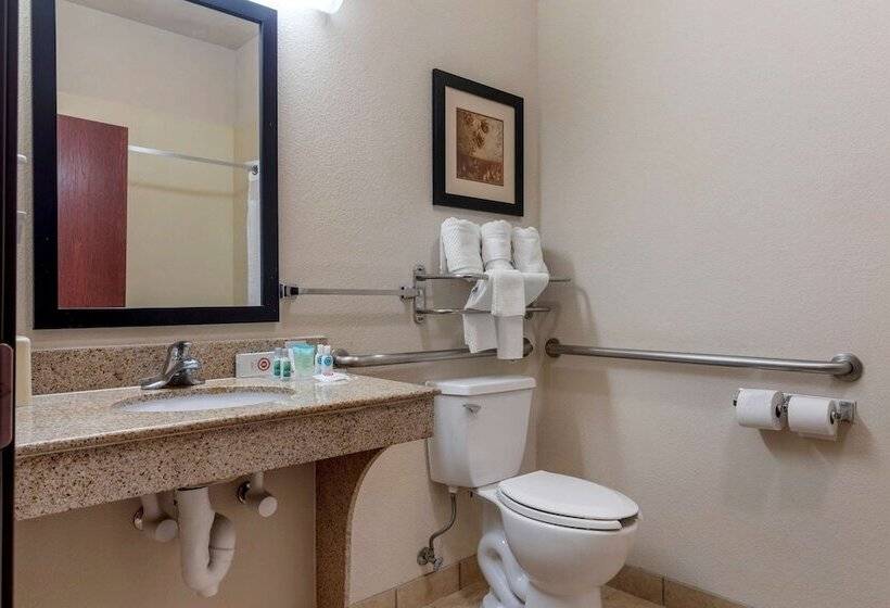 适合残疾人士使用的套间, Lake Texoma Inn And Suites To Match Ihg