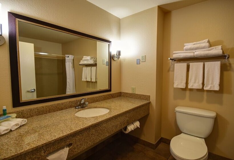 스위트, Holiday Inn Express & Suites Del Rio, An Ihg