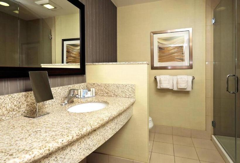 带城市景观的标准间, Courtyard By Marriott York