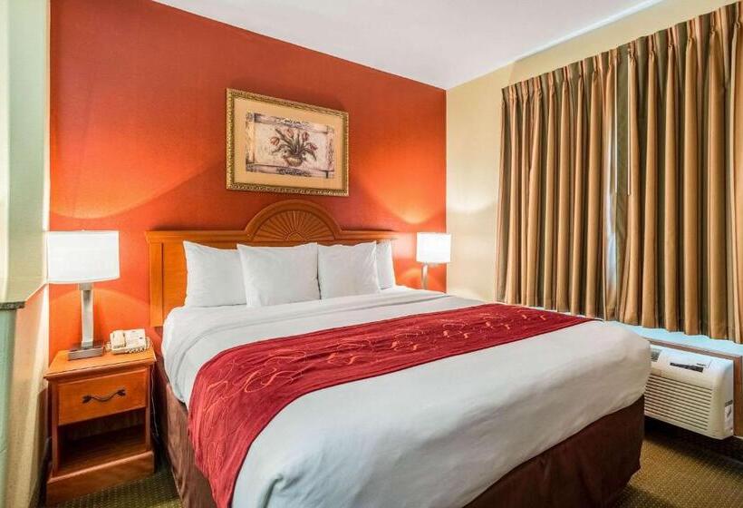 Люкс Адаптированный для Инвалидов, Comfort Suites