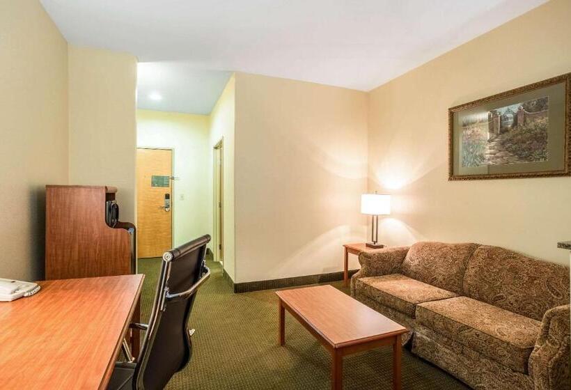 Люкс, Comfort Suites