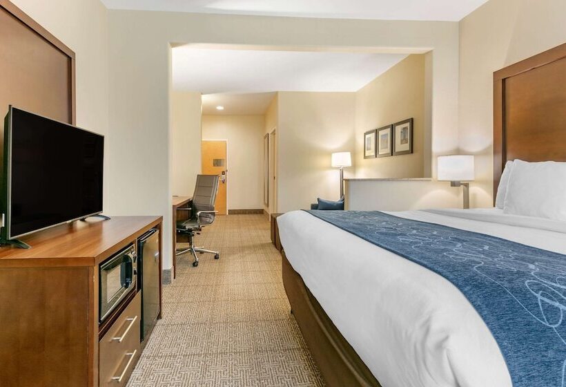 Люкс Адаптированный для Инвалидов, Comfort Suites