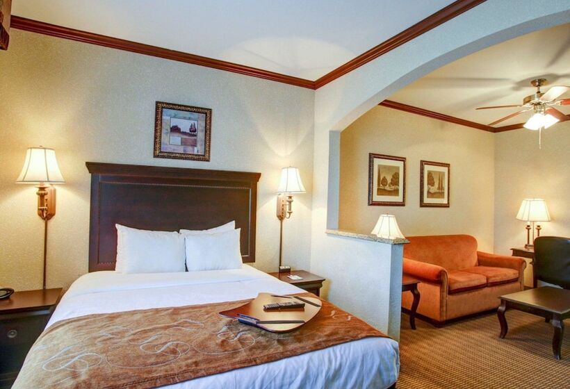 سوییت, Comfort Suites University Drive