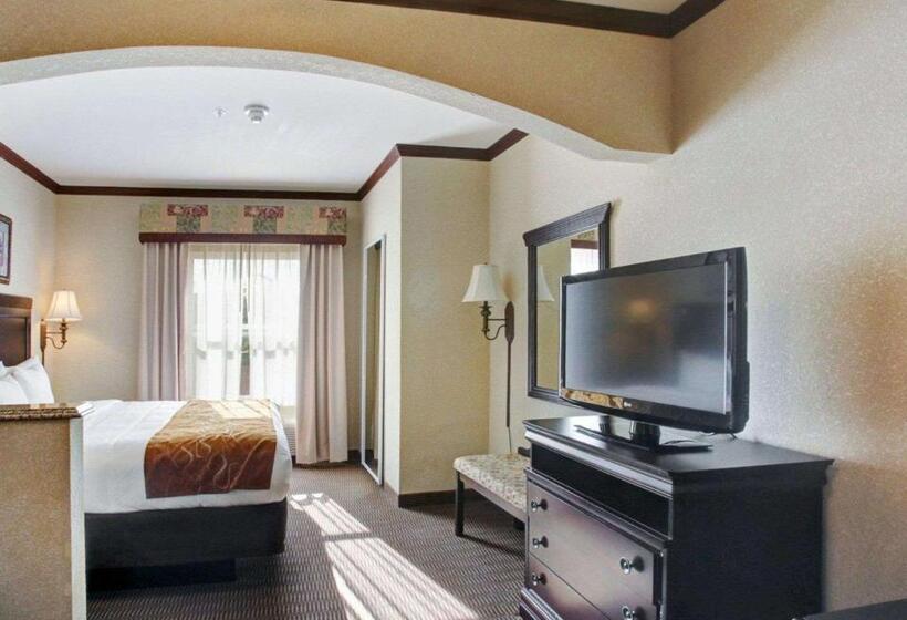 سوئیت با تخت بزرگ, Comfort Suites University Drive
