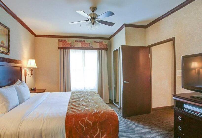 سوئیت با تخت بزرگ, Comfort Suites University Drive
