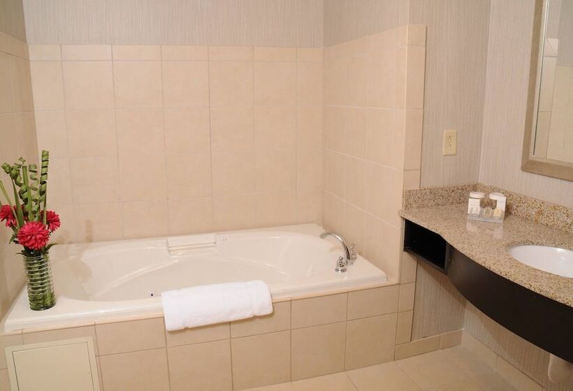 חדר סטנדרט, Hilton Garden Inn Cartersville