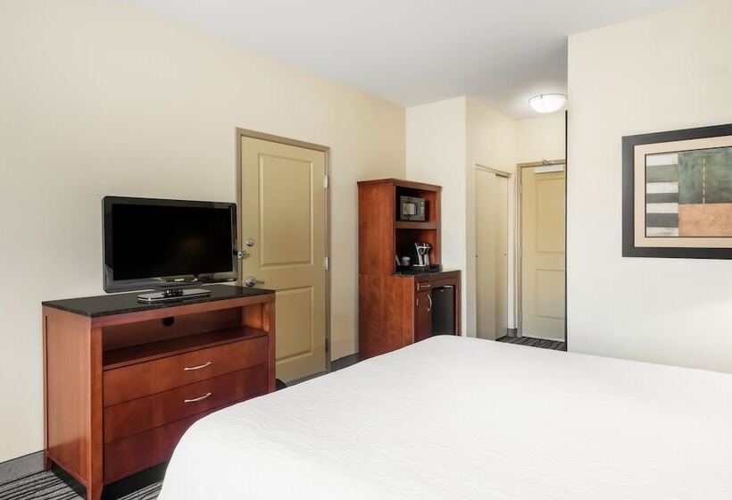 Standard Værelse King-seng Tilpasset til Handicappede, Hilton Garden Inn St. Louis Shiloh/o Fallon Il