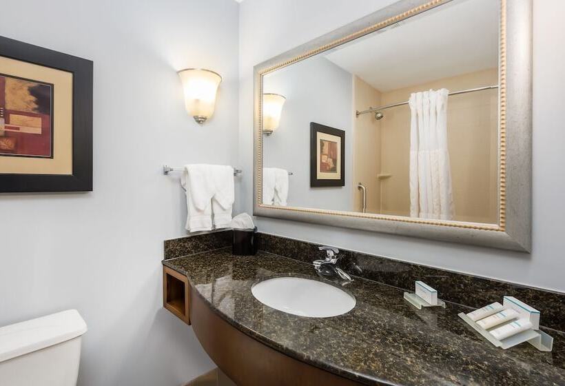 Standard Værelse King-seng Tilpasset til Handicappede, Hilton Garden Inn St. Louis Shiloh/o Fallon Il