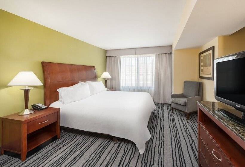 Suite King Size Seng, Hilton Garden Inn St. Louis Shiloh/o Fallon Il