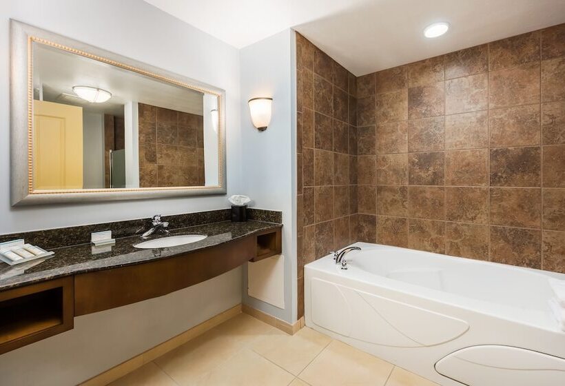 Suite King Size Seng, Hilton Garden Inn St. Louis Shiloh/o Fallon Il