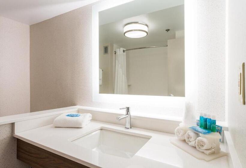 行政套房, Holiday Inn Express & Suites Wilmington University Center, An Ihg