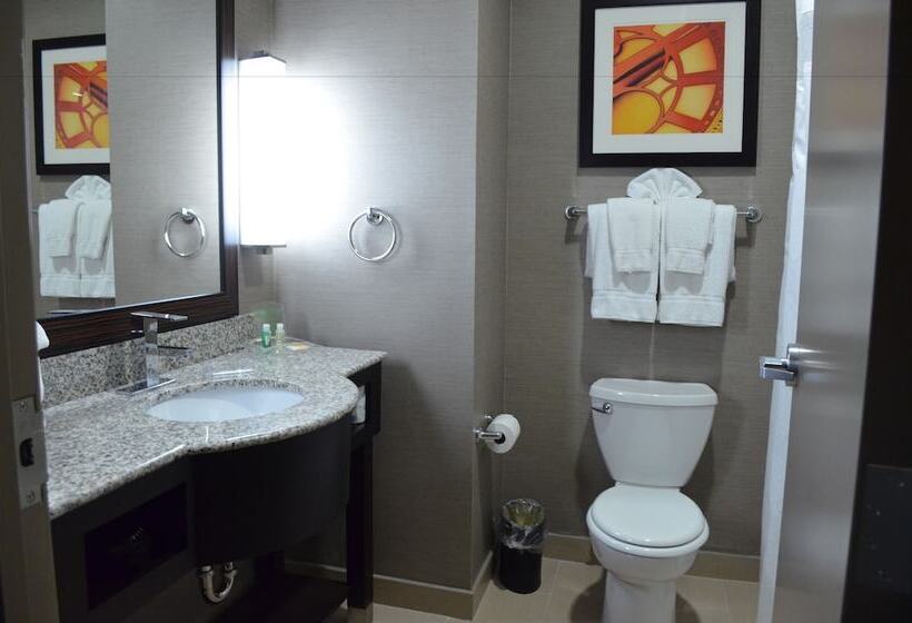 اتاق استاندارد, Holiday Inn Houston West   Westway Park, An Ihg