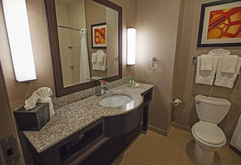 سوئیت برای معلولان, Holiday Inn Houston West   Westway Park, An Ihg