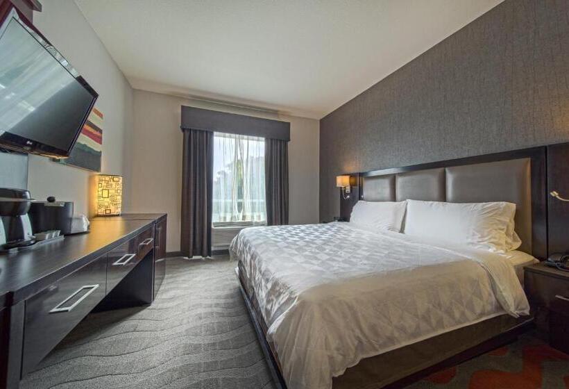 اتاق اجرایی با تخت بزرگ, Holiday Inn Houston West   Westway Park, An Ihg