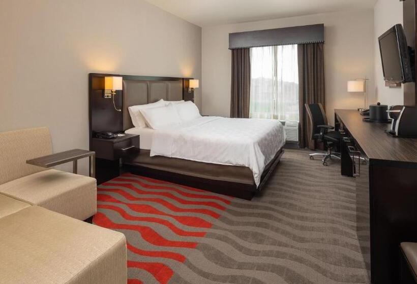 اتاق اجرایی با تخت بزرگ, Holiday Inn Houston West   Westway Park, An Ihg