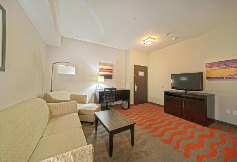 اتاق استاندارد با تخت بزرگ برای معلولان, Holiday Inn Houston West   Westway Park, An Ihg