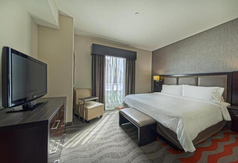 سوئیت با تخت بزرگ, Holiday Inn Houston West   Westway Park, An Ihg