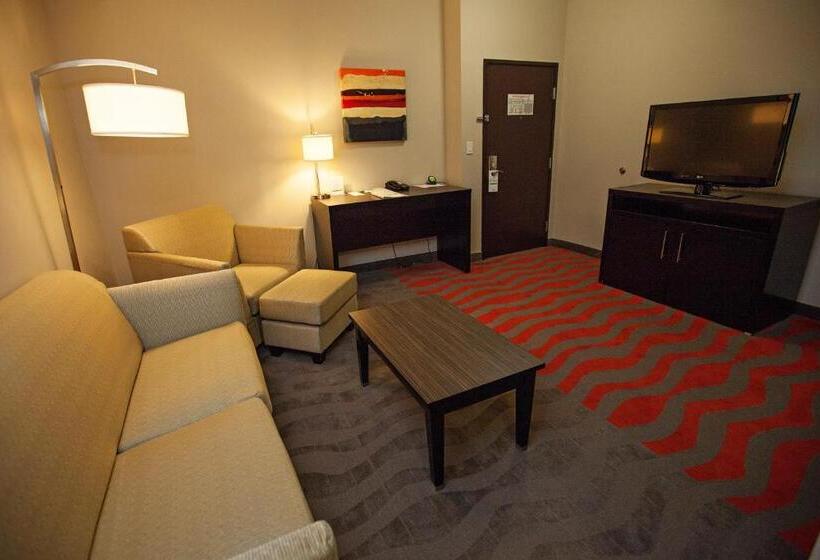سوئیت با تخت بزرگ, Holiday Inn Houston West   Westway Park, An Ihg