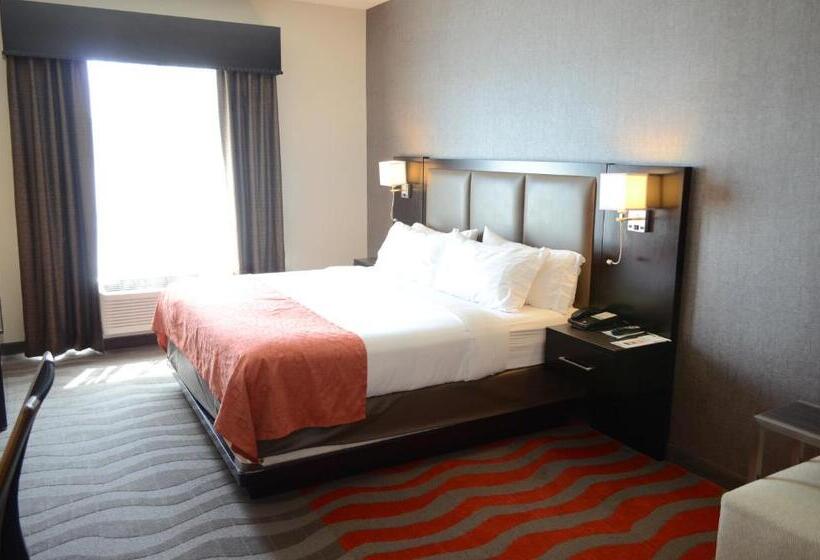 اتاق استاندارد با تخت بزرگ برای معلولان, Holiday Inn Houston West   Westway Park, An Ihg