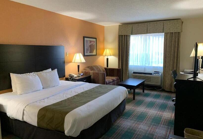 장애인을 위한 킹사이즈 침대 스탠다드 룸, Quality Inn Montgomery South