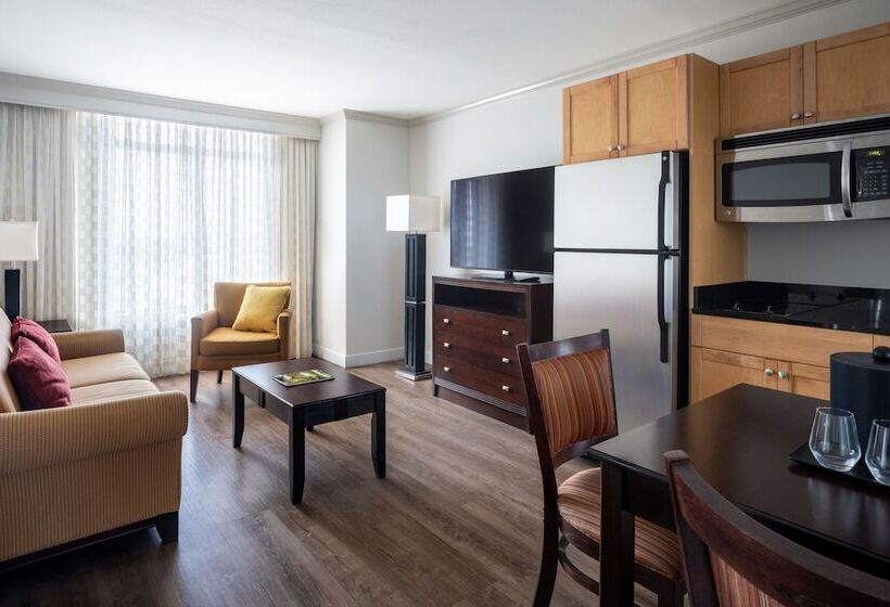 סוויטה, St. Petersburg Marriott Clearwater
