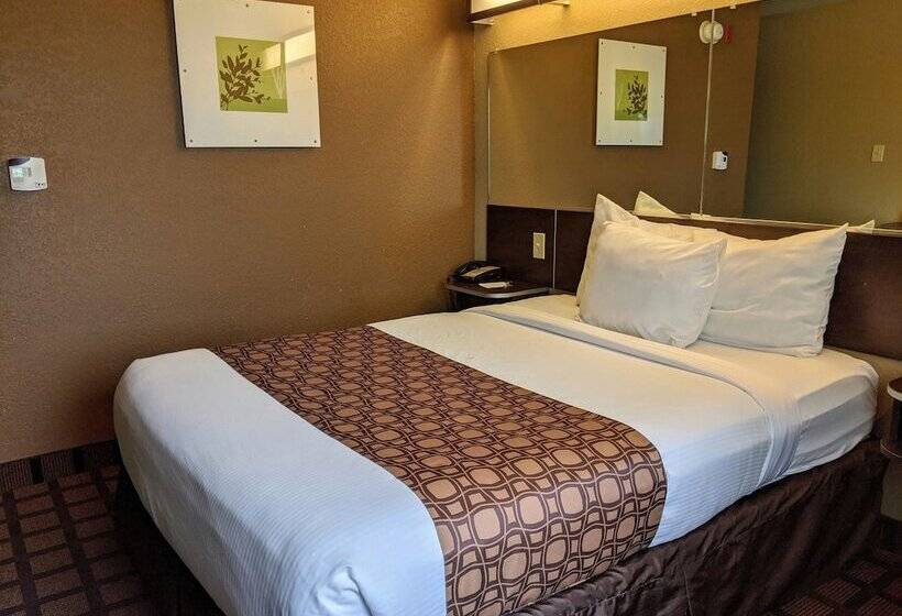 适合残疾人使用的标准间, Microtel Inn And Suites Montgomery