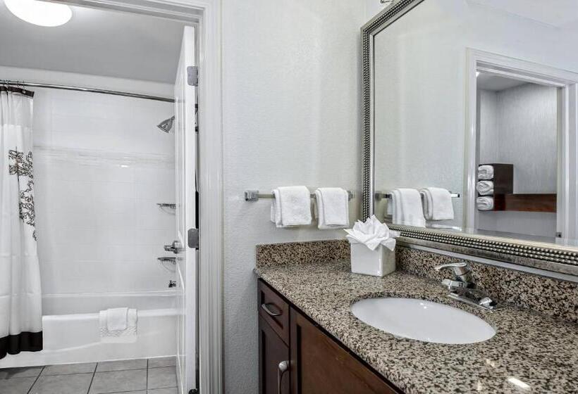 带大床的套房, Residence Inn By Marriott San Antonio Seaworld/lackland