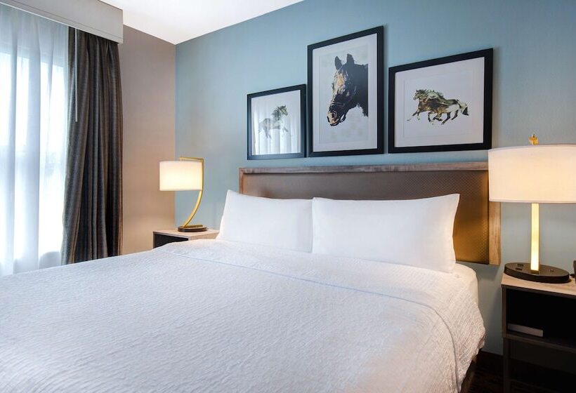 带2个卧室的套房, Homewood Suites Lexington Hamburg