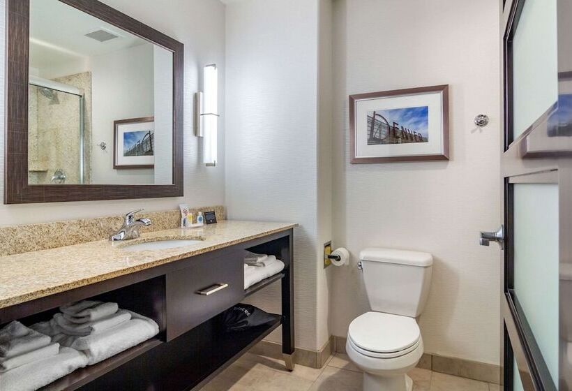 Люкс, Comfort Inn & Suites Brighton Denver Ne Medical Center