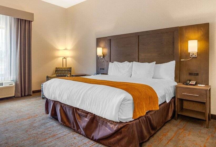 Люкс, Comfort Inn & Suites Brighton Denver Ne Medical Center