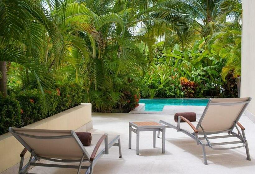 סוויטת ג'וניור, Dreams Vallarta Bay Resorts & Spa   All Inclusive